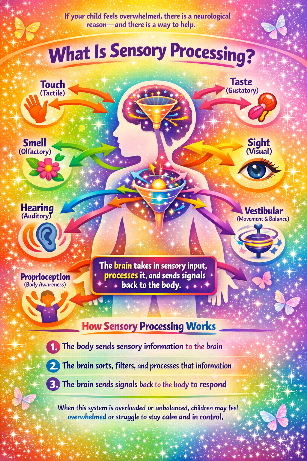 Preview of What Is Sensory Processing?